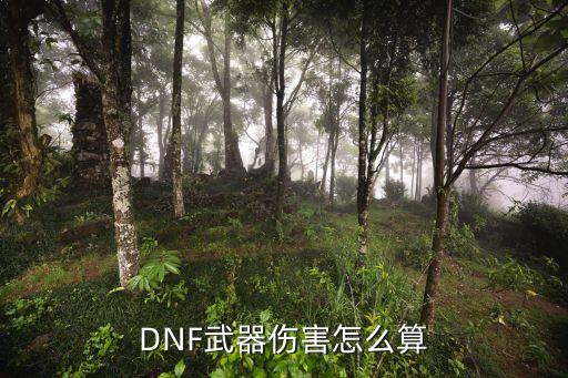 DNF武器伤害怎么算