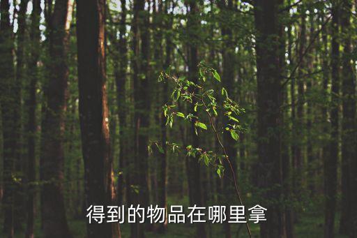 得到的物品在哪里拿