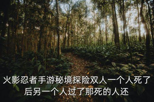 火影忍者手游秘境探险双人一个人死了后另一个人过了那死的人还