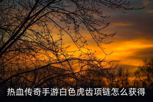 热血传奇手游白色虎齿项链怎么获得