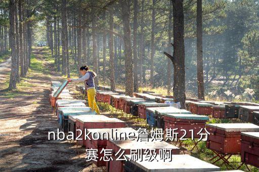 nba2konline詹姆斯21分赛怎么刷级啊