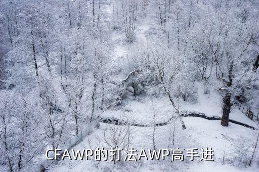 CFAWP的打法AWP高手进