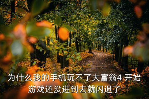为什么我的手机玩不了大富翁4 开始游戏还没进到去就闪退了