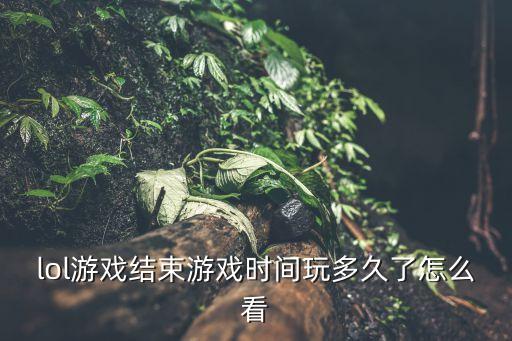 联盟手游怎么看玩了多久，怎么看自己的英雄联盟玩了多久了