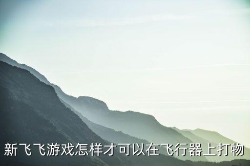 新飞飞游戏怎样才可以在飞行器上打物