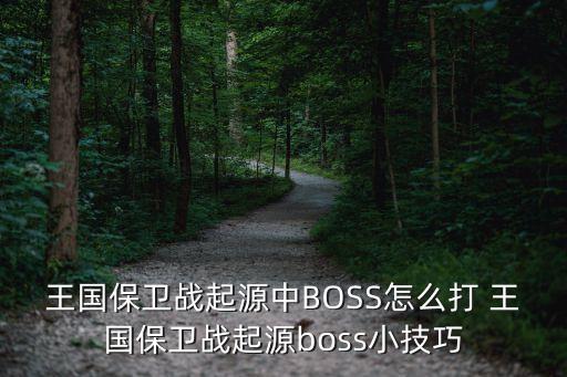 王国保卫战起源中BOSS怎么打 王国保卫战起源boss小技巧