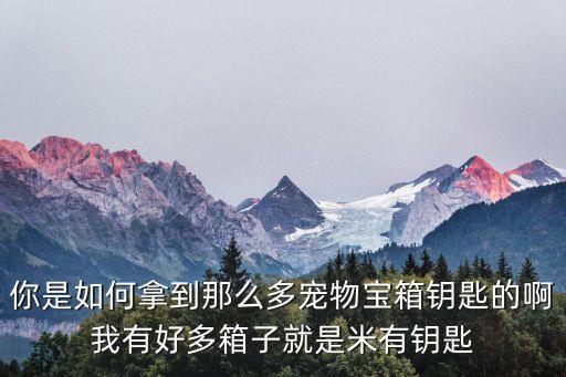 你是如何拿到那么多宠物宝箱钥匙的啊我有好多箱子就是米有钥匙