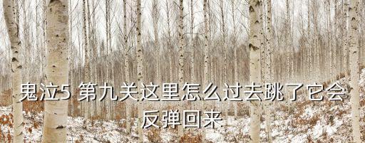 鬼泣5 第九关这里怎么过去跳了它会反弹回来