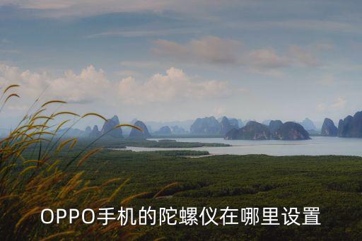 OPPO手机的陀螺仪在哪里设置