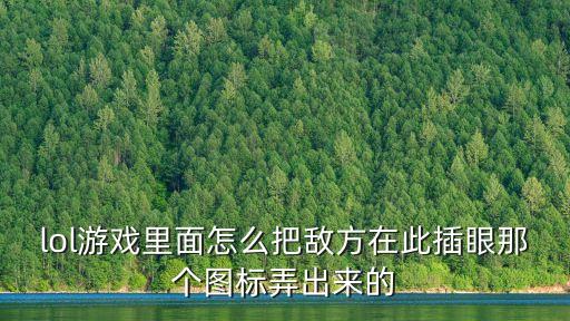 lol游戏里面怎么把敌方在此插眼那个图标弄出来的
