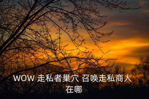 WOW 走私者巢穴 召唤走私商人 在哪