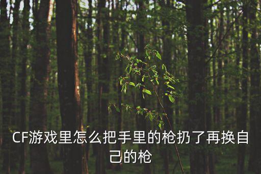 CF游戏里怎么把手里的枪扔了再换自己的枪
