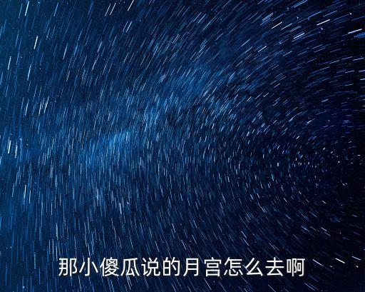 那小傻瓜说的月宫怎么去啊