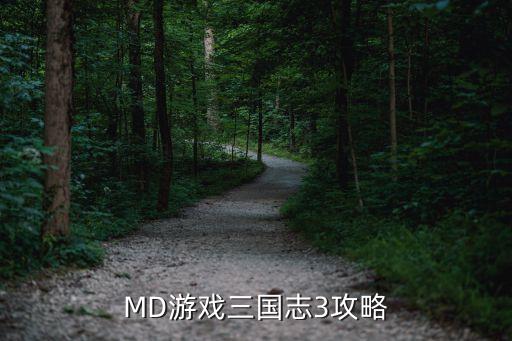 MD游戏三国志3攻略