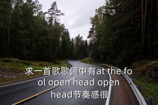 求一首歌歌词中有at the fool open head open head节奏感很