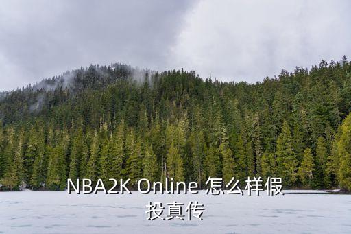 NBA2K Online 怎么样假投真传