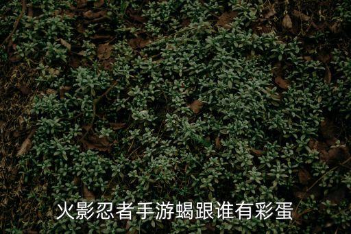 火影忍者手游蝎跟谁有彩蛋