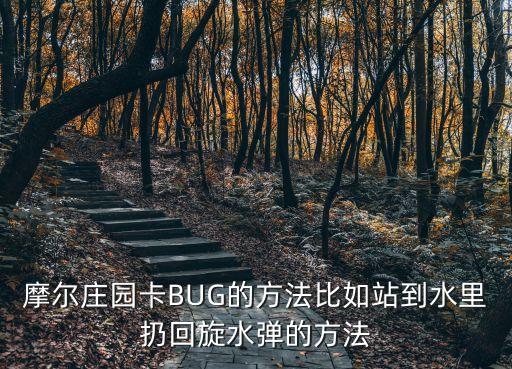 摩尔庄园卡BUG的方法比如站到水里扔回旋水弹的方法