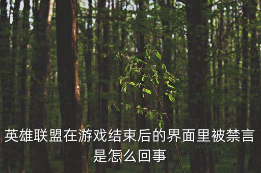 英雄联盟在游戏结束后的界面里被禁言是怎么回事