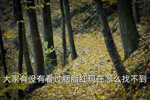 大家有没有看过胭脂红现在怎么找不到了