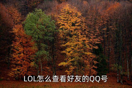 LOL怎么查看好友的QQ号