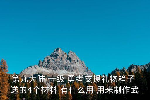 第九大陆 十级 勇者支援礼物箱子 送的4个材料 有什么用 用来制作武