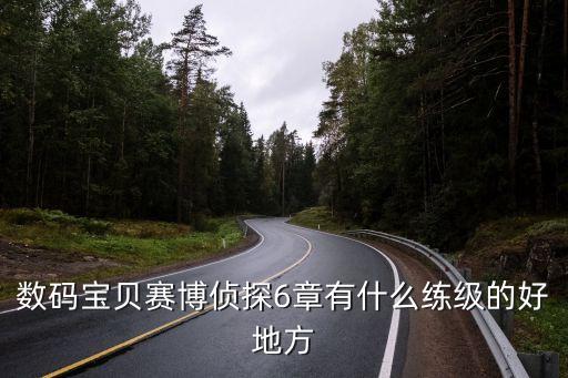 数码宝贝手游考核6怎么过，数码宝贝赛博侦探6章有什么练级的好地方