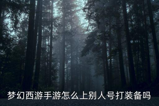 梦幻西游手游怎么上别人号打装备吗