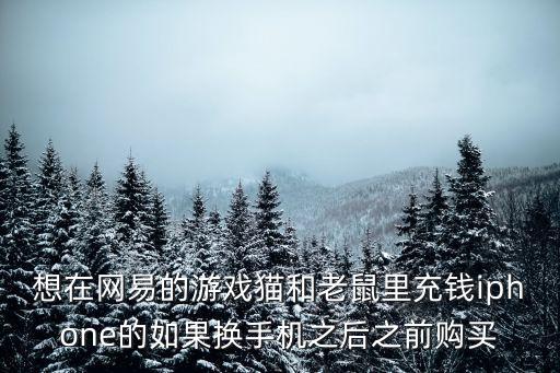 想在网易的游戏猫和老鼠里充钱iphone的如果换手机之后之前购买