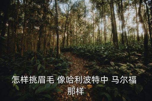 怎样挑眉毛 像哈利波特中 马尔福 那样