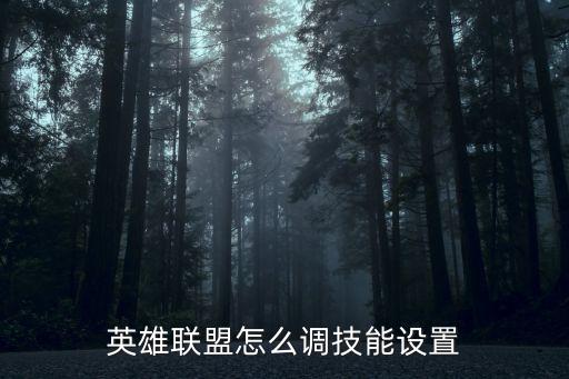 英雄联盟怎么调技能设置