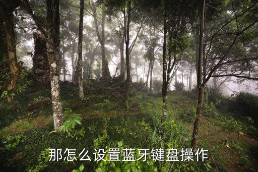 手游蓝牙键盘鼠标怎么设置，蓝牙键鼠如何玩游戏 按键怎么设置
