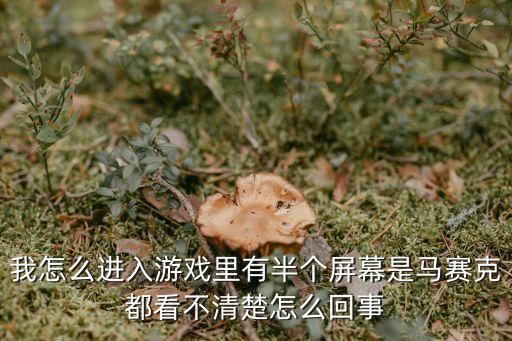 我怎么进入游戏里有半个屏幕是马赛克都看不清楚怎么回事