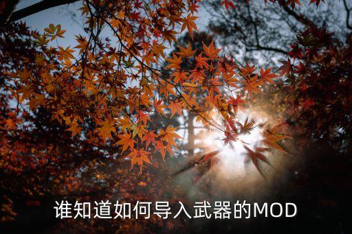 谁知道如何导入武器的MOD