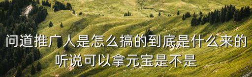 问道推广人是怎么搞的到底是什么来的听说可以拿元宝是不是