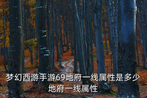梦幻西游手游69地府一线属性是多少地府一线属性
