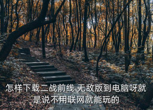 怎样下载二战前线 无敌版到电脑呀就是说不用联网就能玩的