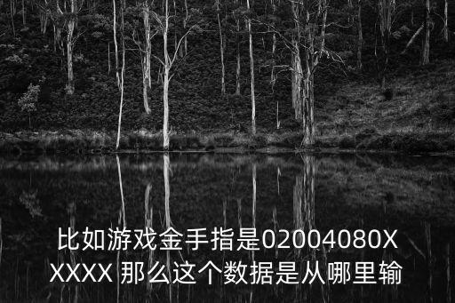 比如游戏金手指是02004080XXXXX 那么这个数据是从哪里输