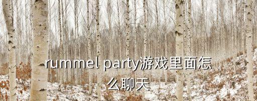 rummel party游戏里面怎么聊天