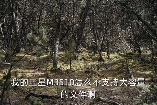 我的三星M3510怎么不支持大容量的文件啊