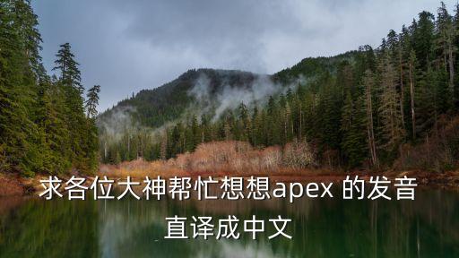 求各位大神帮忙想想apex 的发音直译成中文