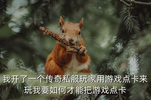我开了一个传奇私服玩家用游戏点卡来玩我要如何才能把游戏点卡