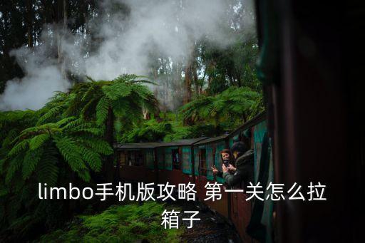 limbo手机版攻略 第一关怎么拉箱子