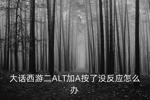 大话西游二ALT加A按了没反应怎么办