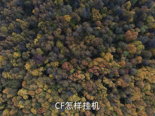 CF怎样挂机