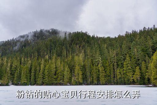 粉钻的贴心宝贝行程安排怎么弄