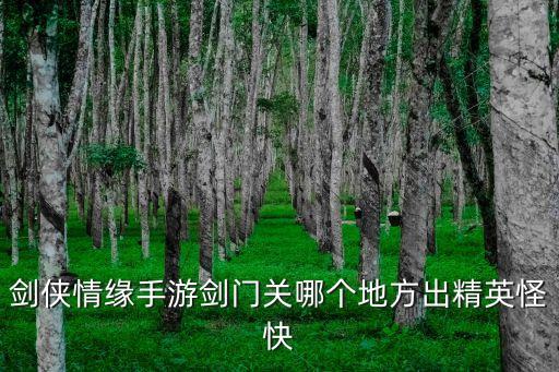 剑侠情缘手游剑门关哪个地方出精英怪快