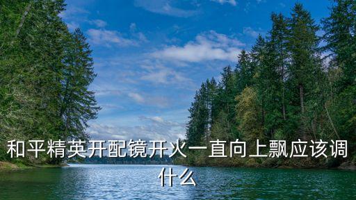 和平精英开配镜开火一直向上飘应该调什么