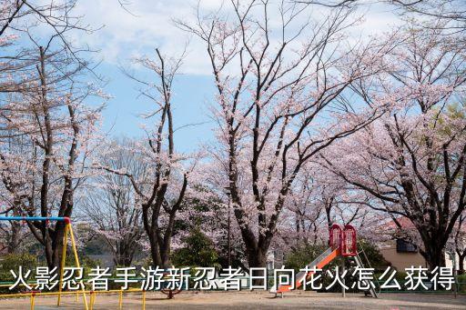 火影忍者手游新忍者日向花火怎么获得