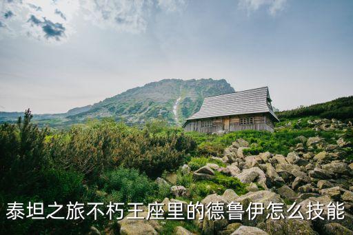 泰坦之旅手游德鲁伊怎么打，泰坦之旅不朽王座德鲁伊用什么装备比较好在哪儿刷装备呢